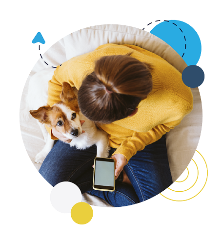 Pet owner registering dog’s microchip on Identipet web app